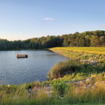 Centennial Park