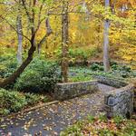 The State Botanical Garden of Georgia