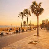 Relax at Barceloneta