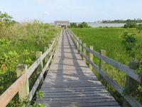 Suter Wildlife Refuge