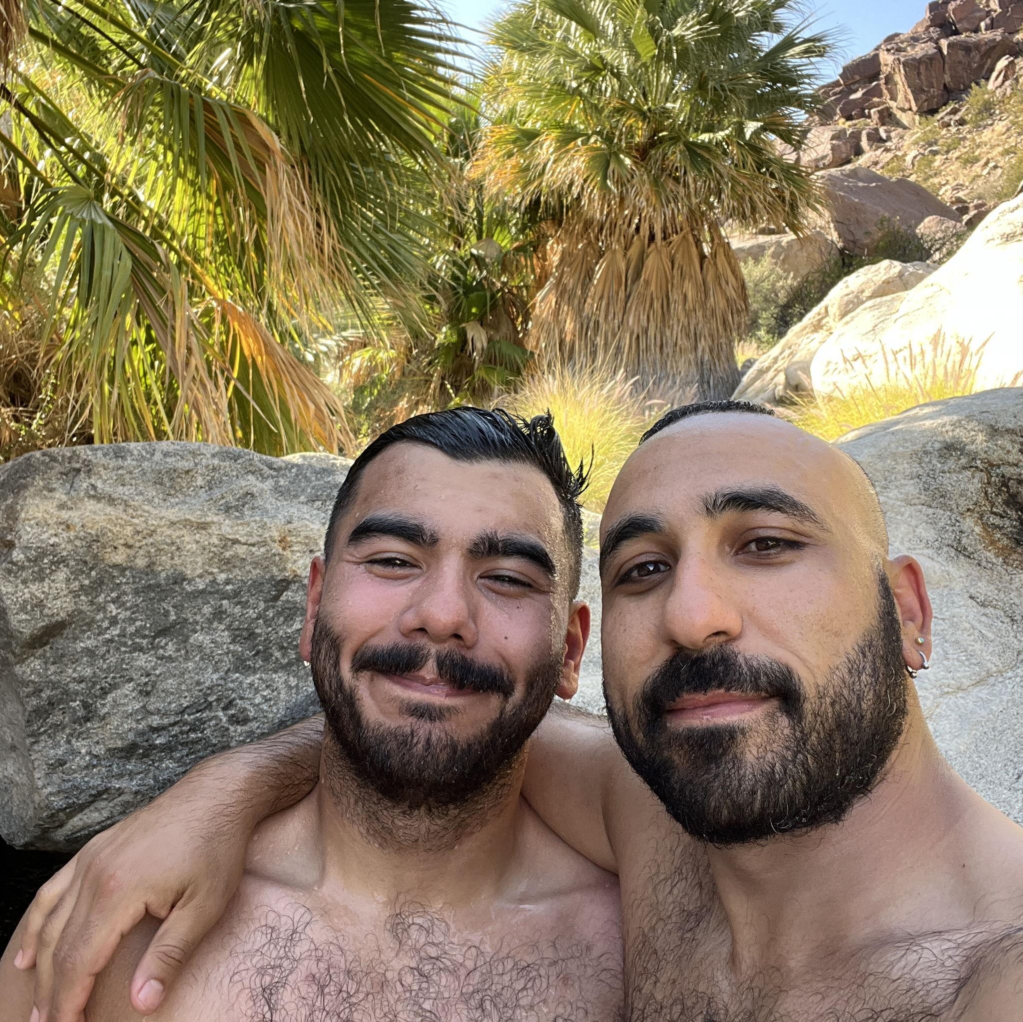 California fan palm oasis and waterfall at Borrego Springs during a heatwave in Anza-Borrego Desert State Park surrounded by bighorn sheep, desert willow, and dear friends.
