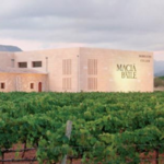 Bodegas Macià Batle