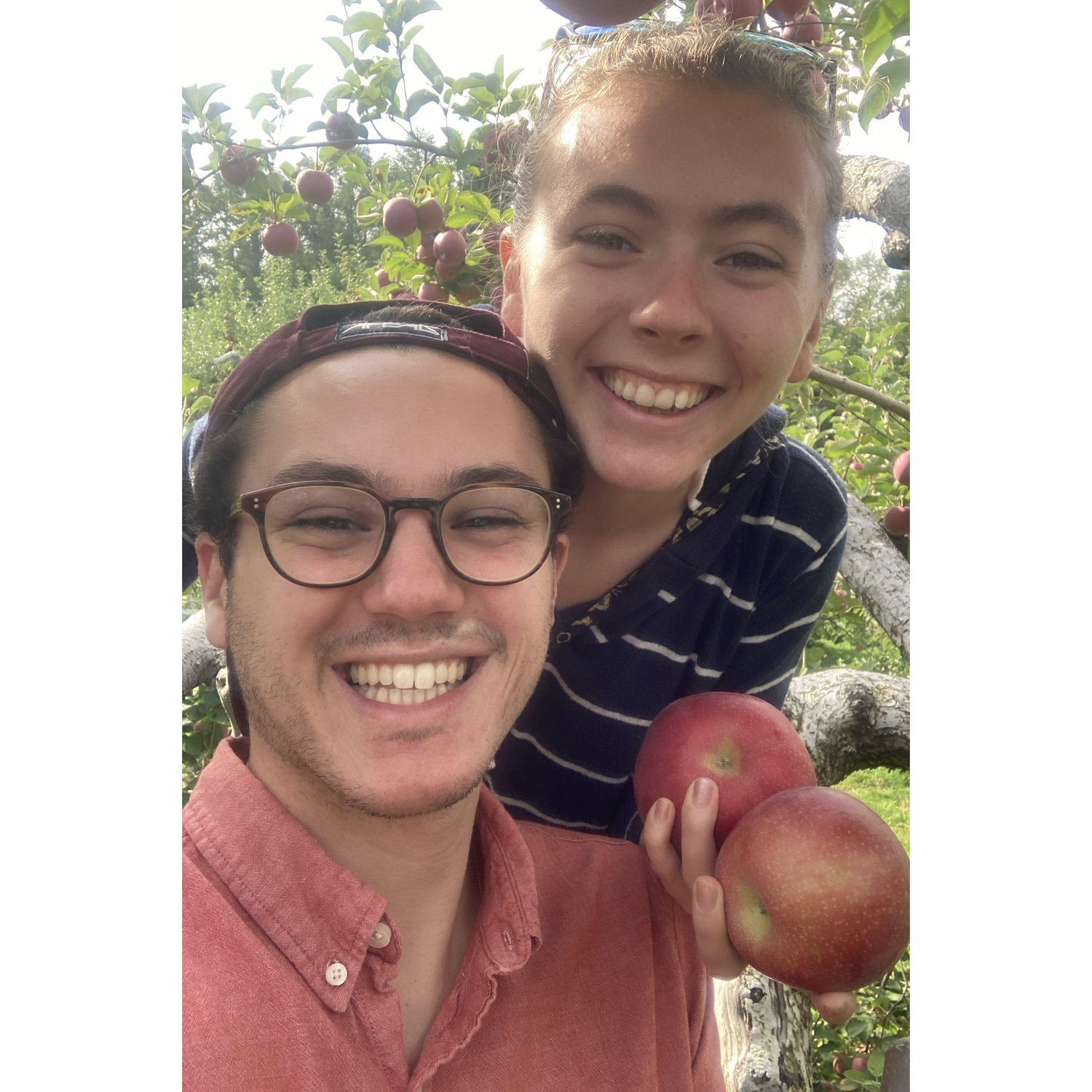 Apple Picking 2021