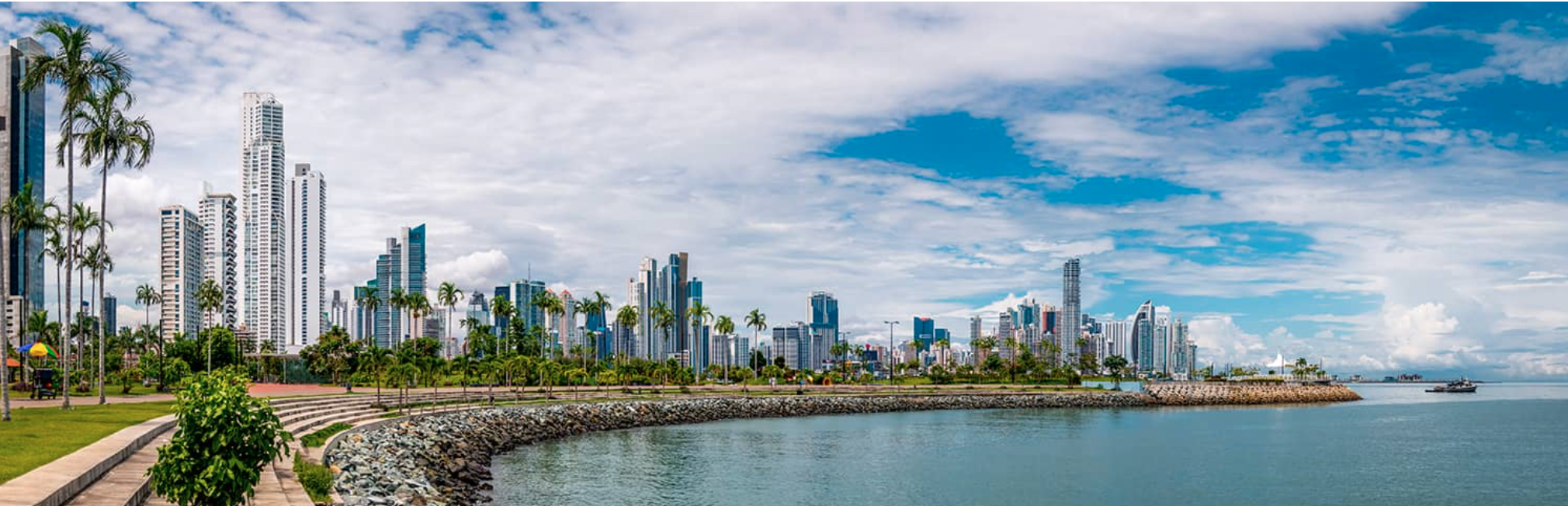 The Wedding Website of Laura D'Anello and Ricardo Bermudez