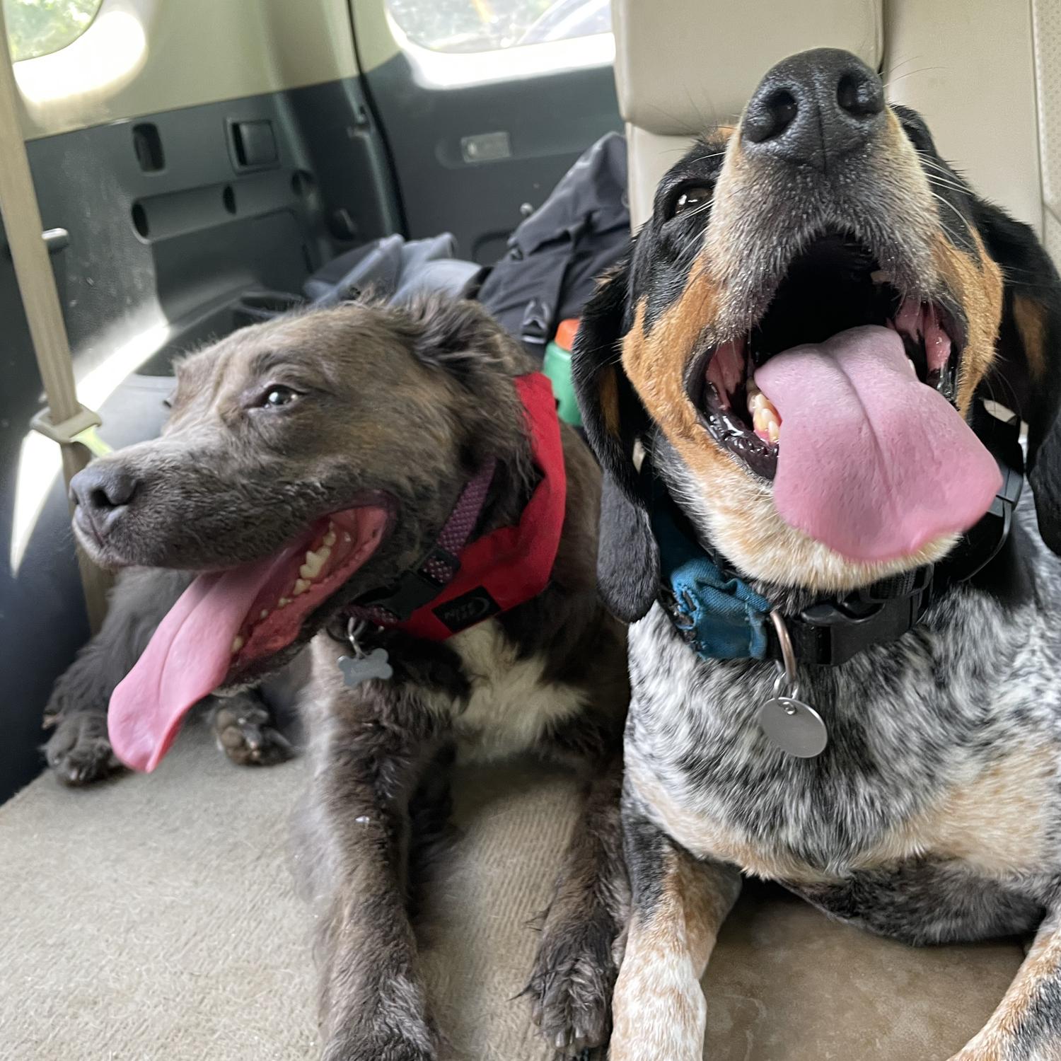 The gals after a family mountain bike ride.
