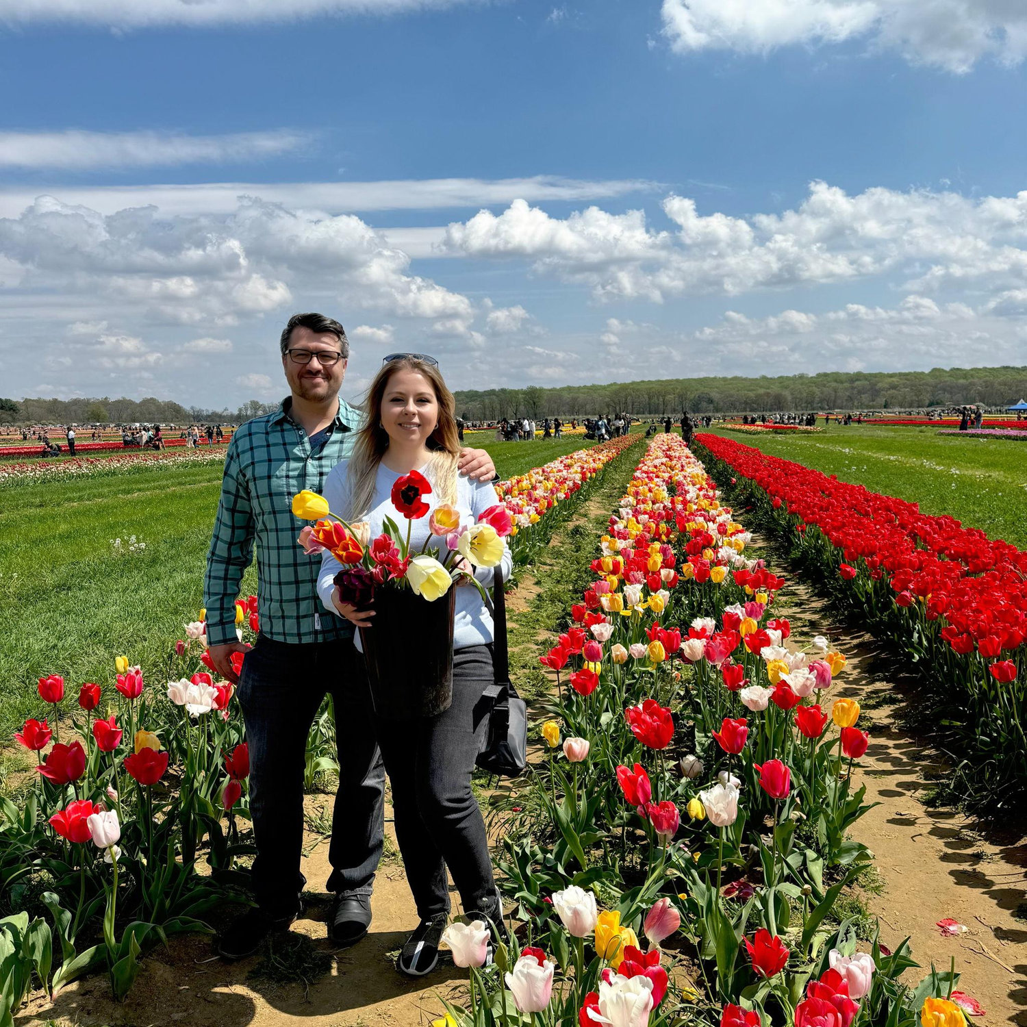 Tulip farm trip 2024