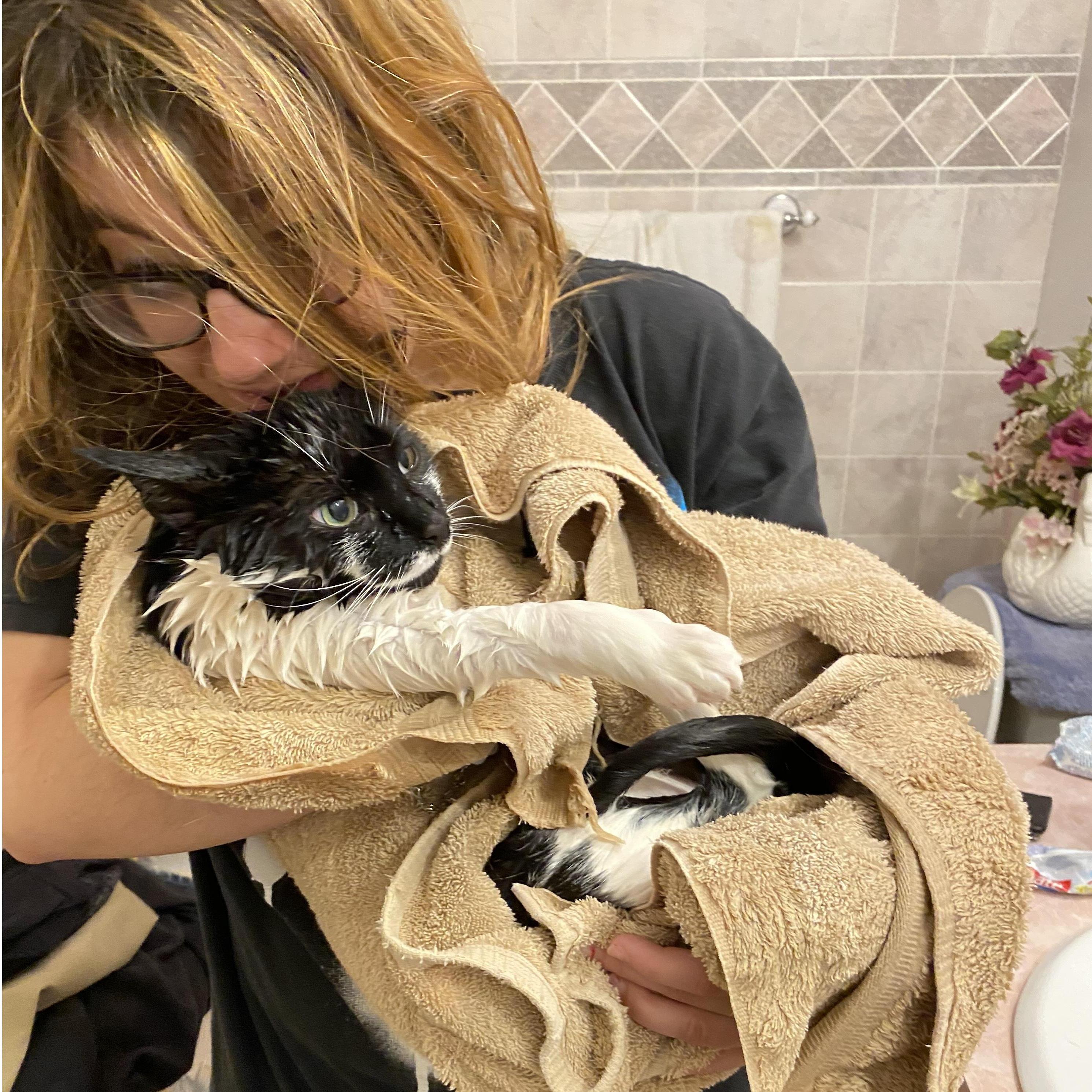 Gizmo's First Bath...She was not happy haha
