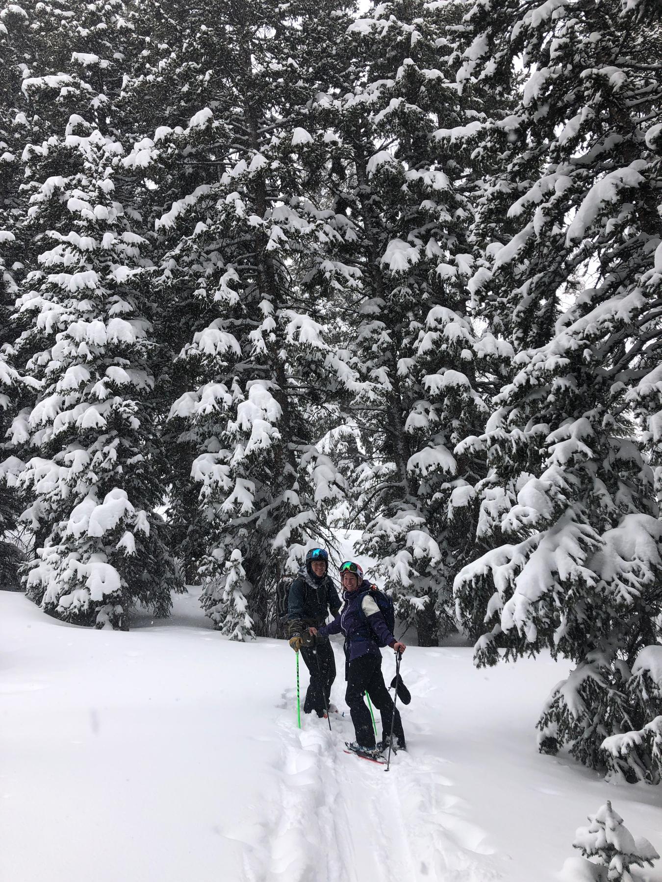 A backcountry ski day