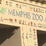 Memphis Zoo