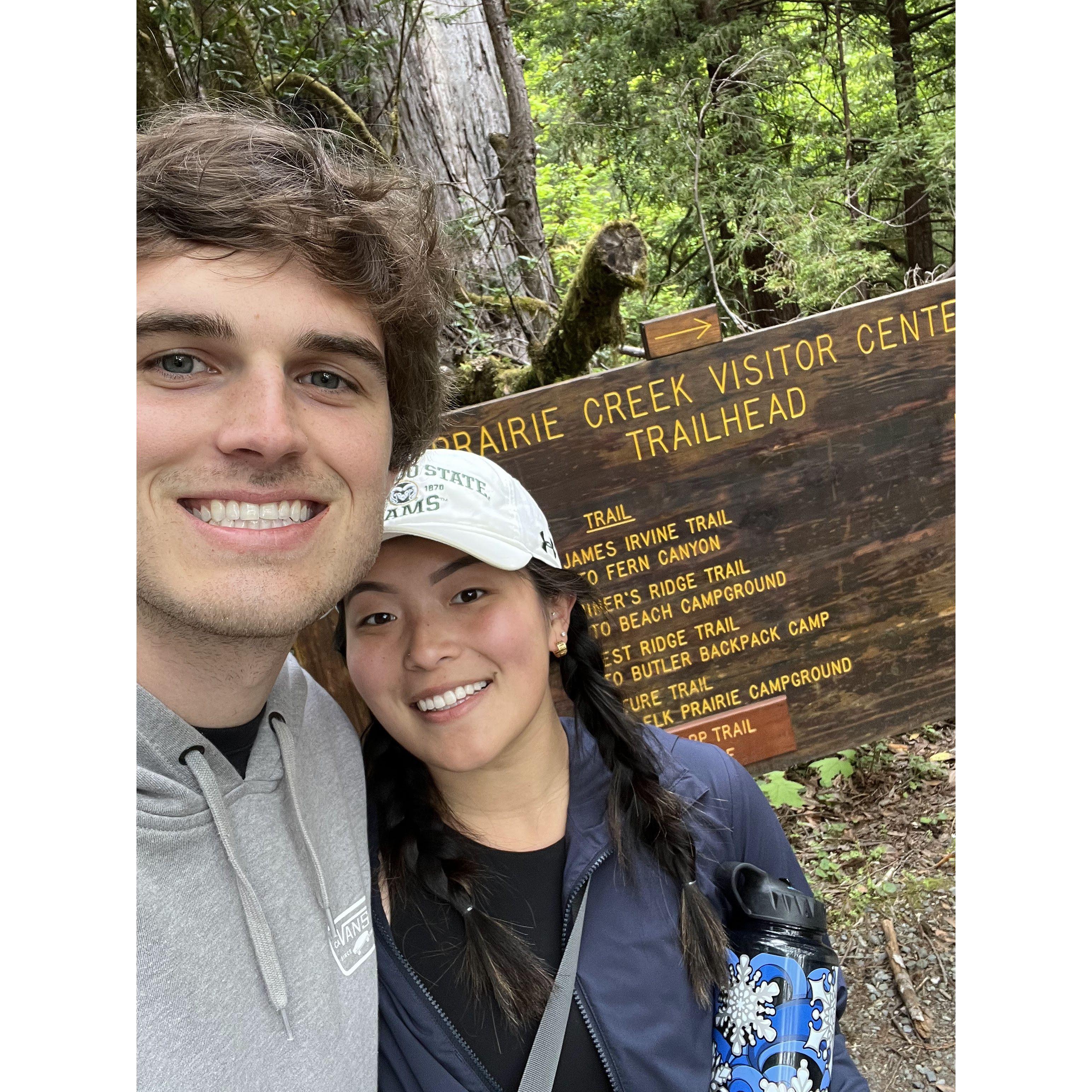 Redwoods hiking!