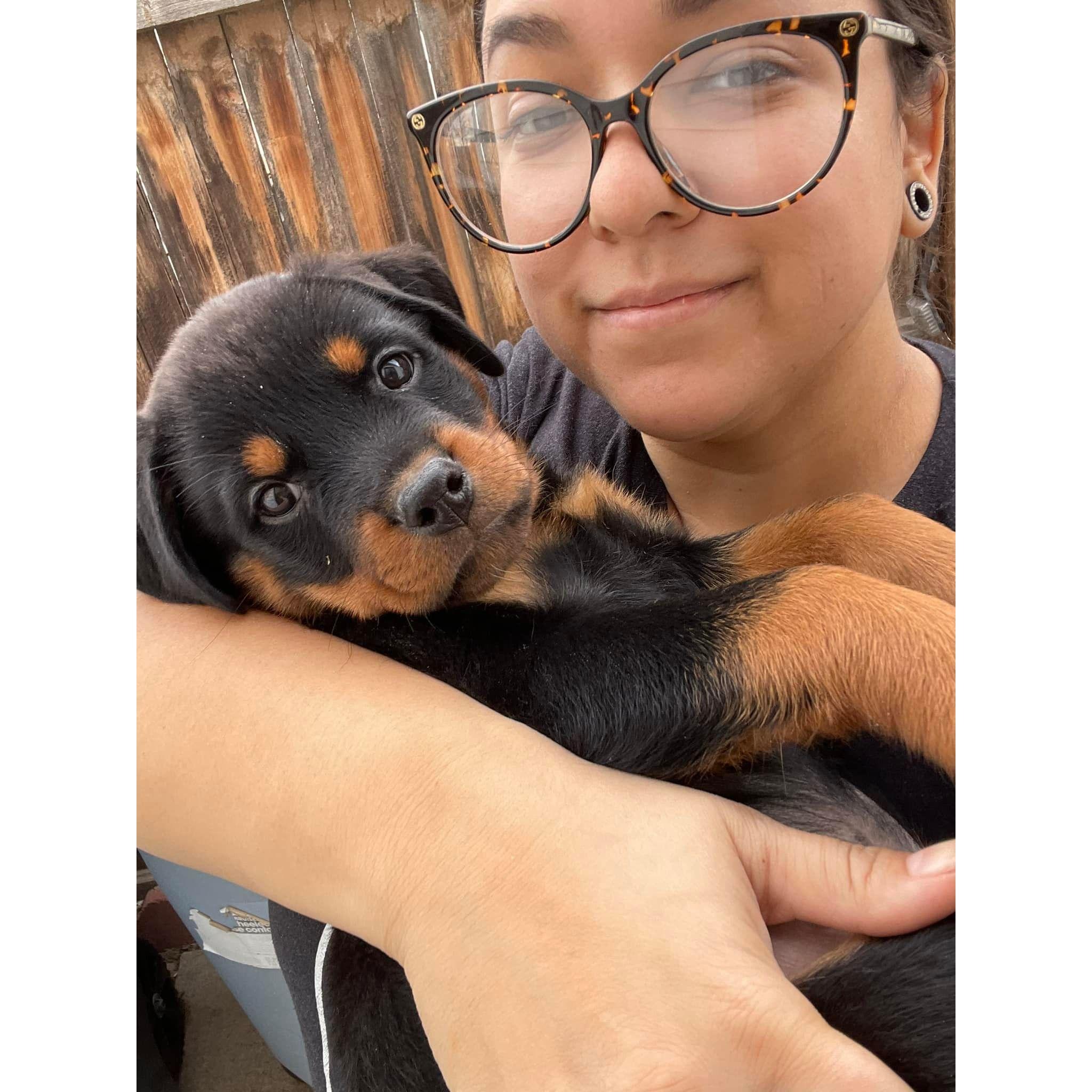 Kira and Dottie the day we brought her home.