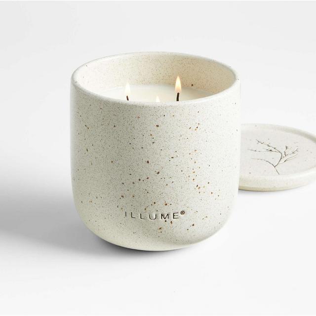 Illume Medium Vetiver Sage Outdoor Scented Candle
