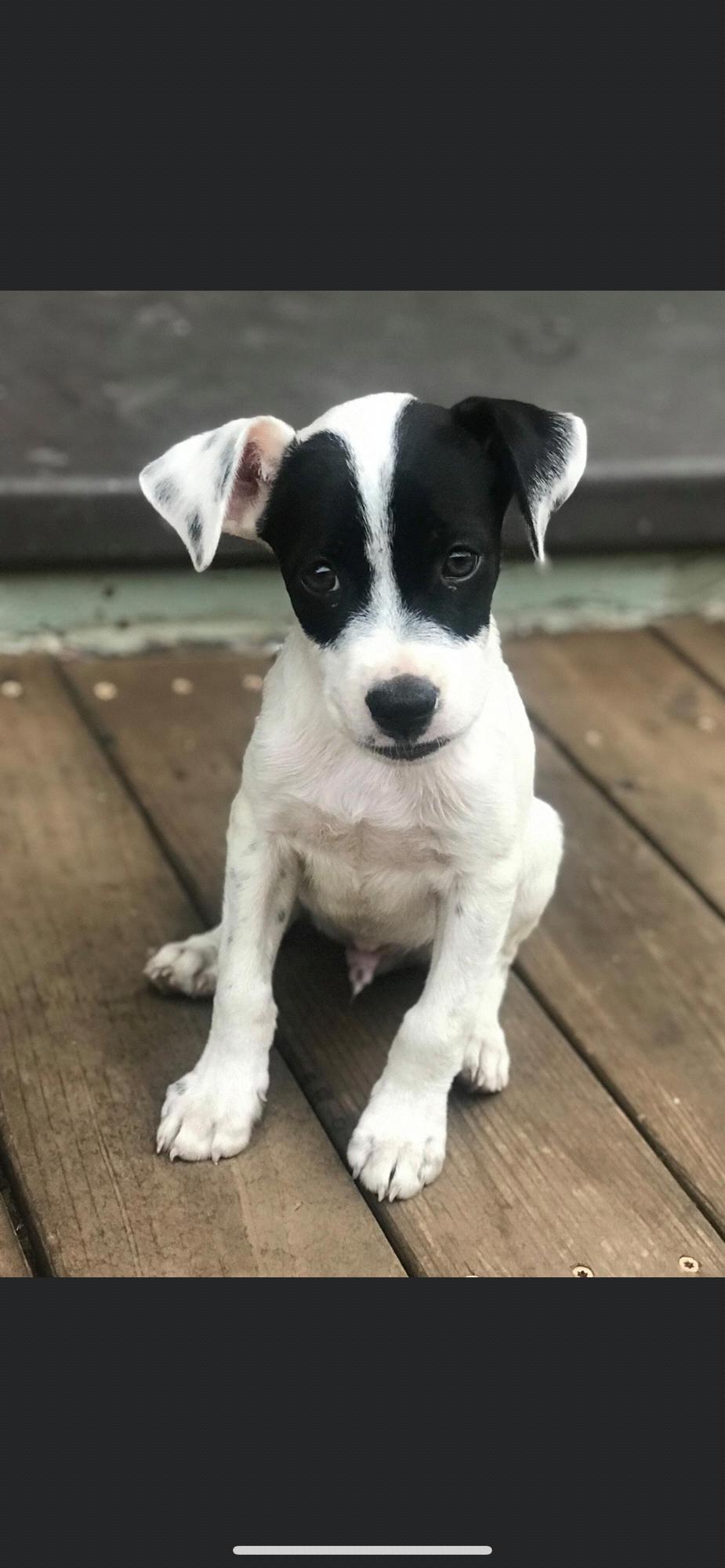 new baby Phoenix