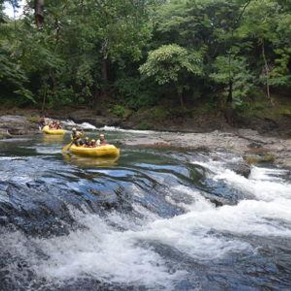 Guanacaste River & Wildlife Tour
