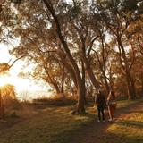 Lincoln Park