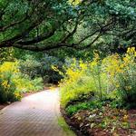Huntsville Botanical Garden