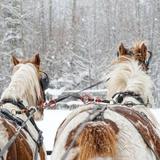 The Jingle Bell Chocolate Tour