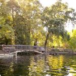 Bidwell Park