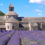 Abbaye Notre-Dame de Sénanque