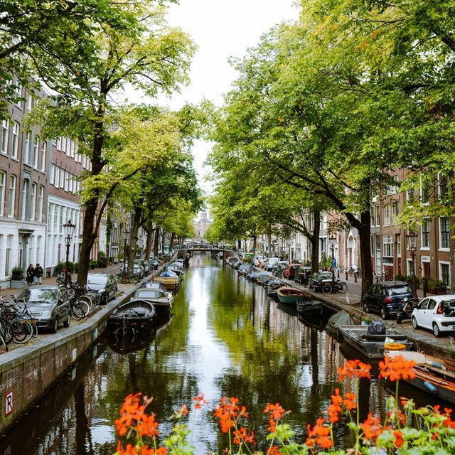 Honeymoon to the Netherlands