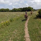 Horseback Riding @ Knoblock Riding Stable