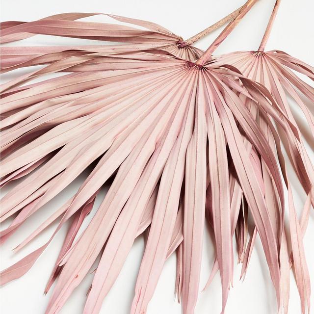 Pink Paper Palms, Set of 3