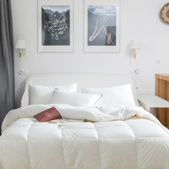 650 Loft European White Down Duvet | Garda | Canadian Made | All Season Winter Summer | Twin Double Queen King XKing | Light Series