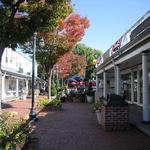 Port Jefferson Village