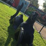 Wynwood Walls