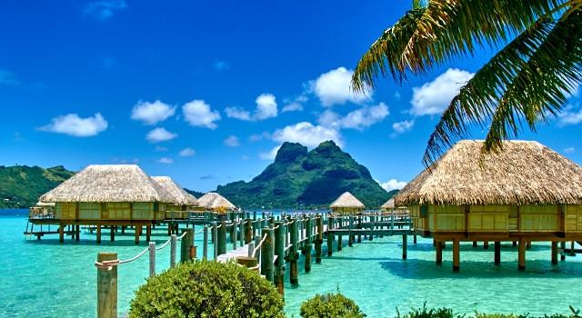 e955ca74-e1ff-4dd8-9059-784114eb3550