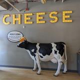 Wisconsin Cheese Mart