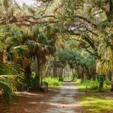 Boyd Hill Nature Preserve
