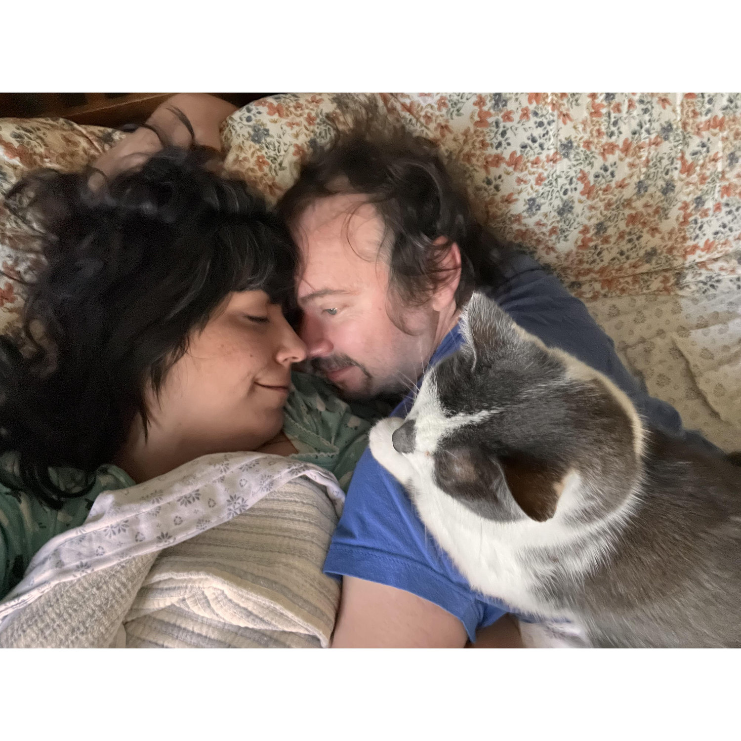 Morning snuggles usually include 1 out of 2 cats.  Here is our boy Toki doing his usual 'lay on top ofhuman till I has foodz' bit.
