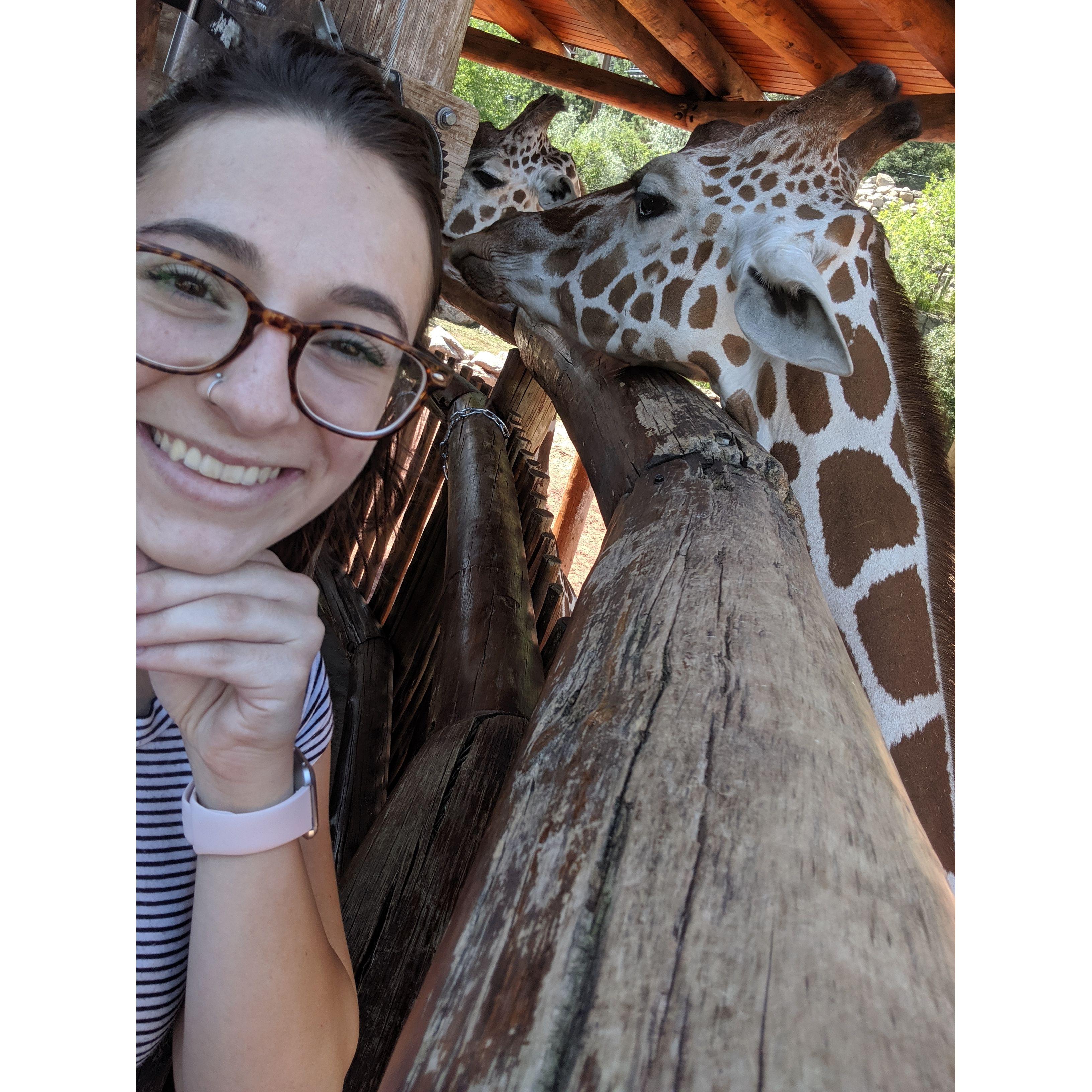 Cheyenne Mountain Zoo