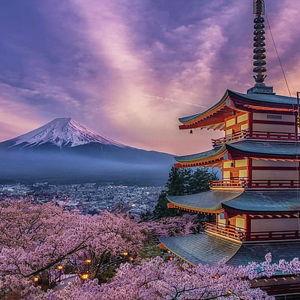 Japan Honeymoon Fund