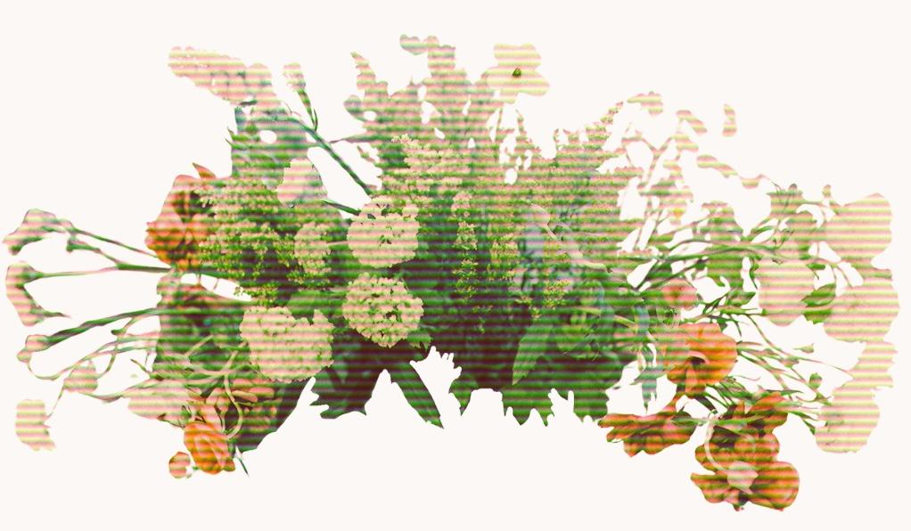 e95cd26d-05c2-4cef-b269-57667de275b1