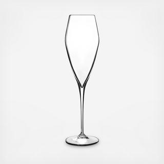 Regency Sparkling Wine/Champagne Glass, Set of 4