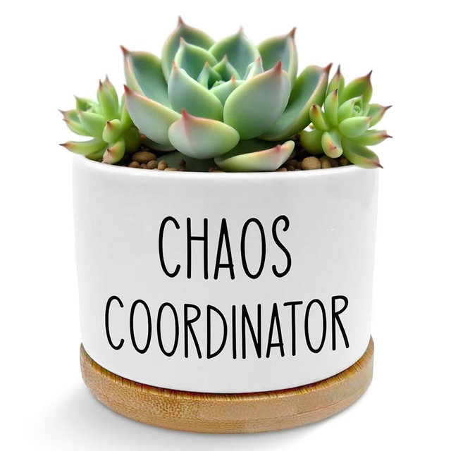 ROXMART Chaos Coordinator Gifts for Women Men Plant Pots, Appreciation Gifts for Coworkers Boss Leader Mentor Succulent Planters, Ceramic Plant Flower Pots for Home Office Desk Table Shelf(No Plants)