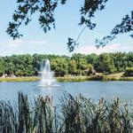 Laurel Acres Park