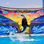 SeaWorld San Diego