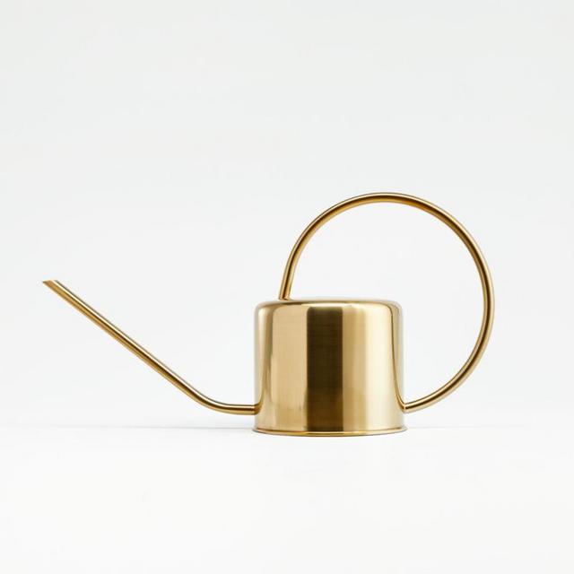 Gold Watering Can