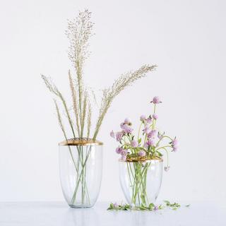 Clear Glass Vase with Metal Frog Lid