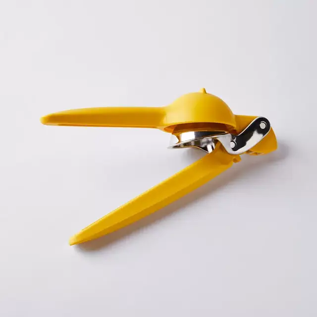 Citrus Juicer