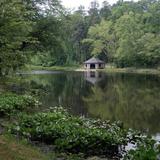 Forest Hill Park