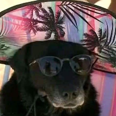 Óculos escuros para o pôr do sol 😎