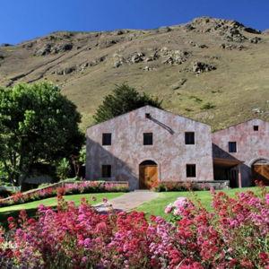 Queenstown Wine Tour