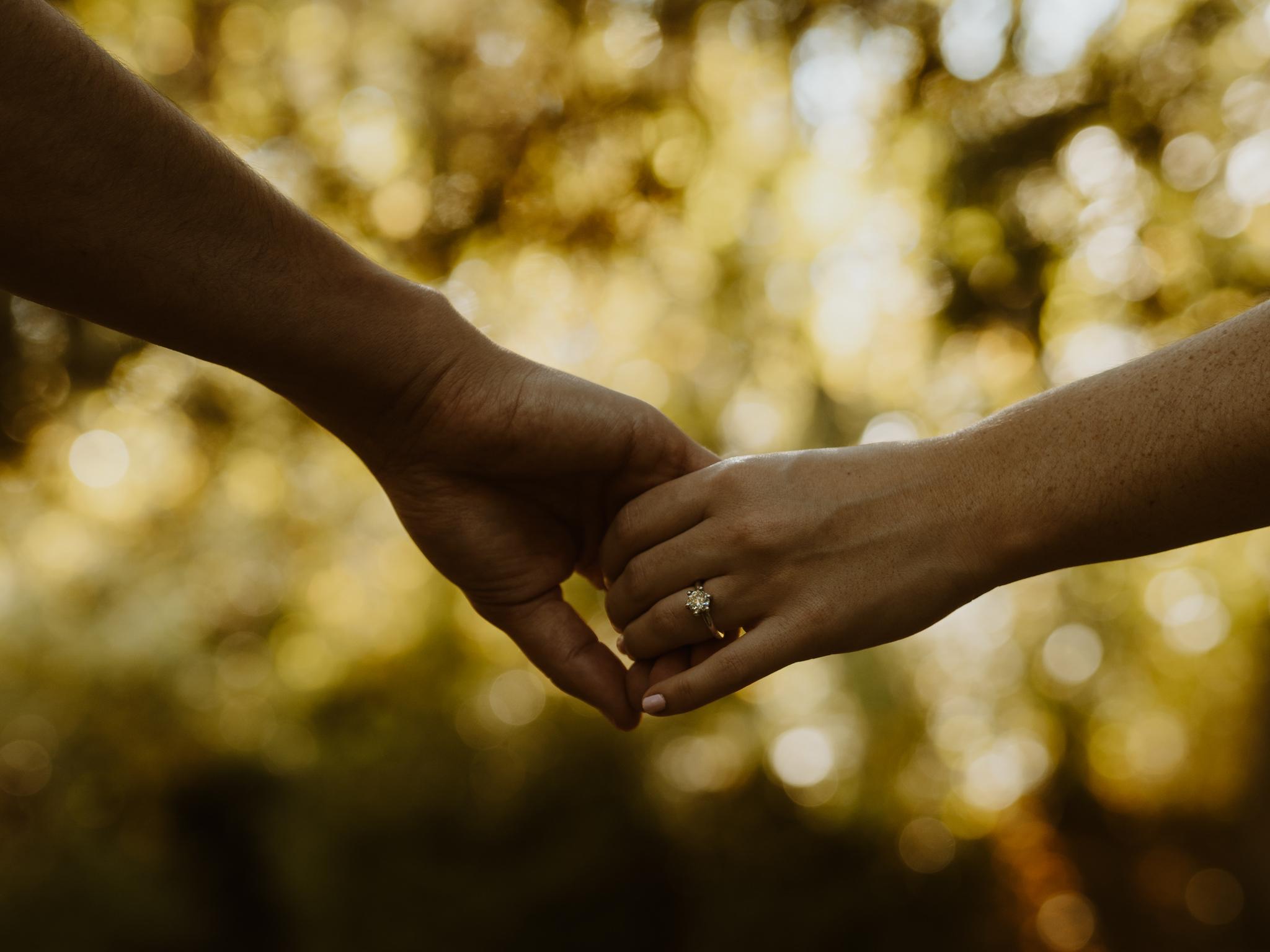 The Wedding Website of Sonny Rimler and Gwendolyn Franklin