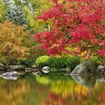Anderson Japanese Gardens