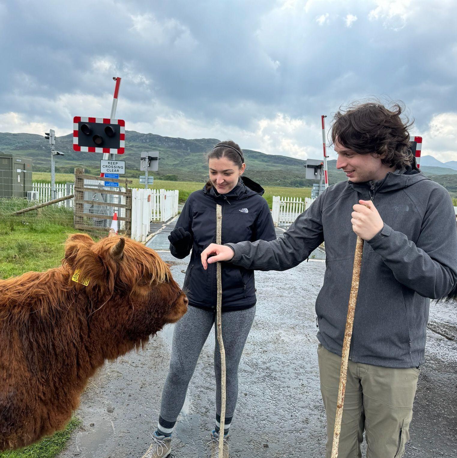 Close en-cow-nters with a Highland Coo!