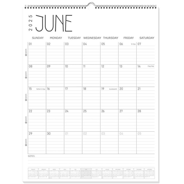 GuassLee Wall Calendar 2025 Large, 22" x 17" Hanging Wall Calendar 19-Month from Jun. 2025 to Dec. 2026, 2025-2026 Hanging Wall Planner with Spiral Binding for School Home Office Planning & Organizing